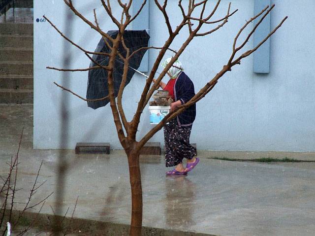 9-01-28-Kuzdere-Regen-031-s.JPG - Die Nachbarin kämpft gegen Regen und Wind um Brennholz für den Ofen ins Haus zu holen