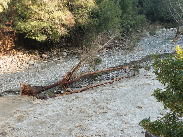 9-12-17-1-Kuzdere-S-036.jpg - Einige der mitgerissenen Bäume liegen noch im Flussbett, bald werden auch hierher die Holzsammler kommen (Treibholz darf man sich kostenlos als Feuerholz holen)