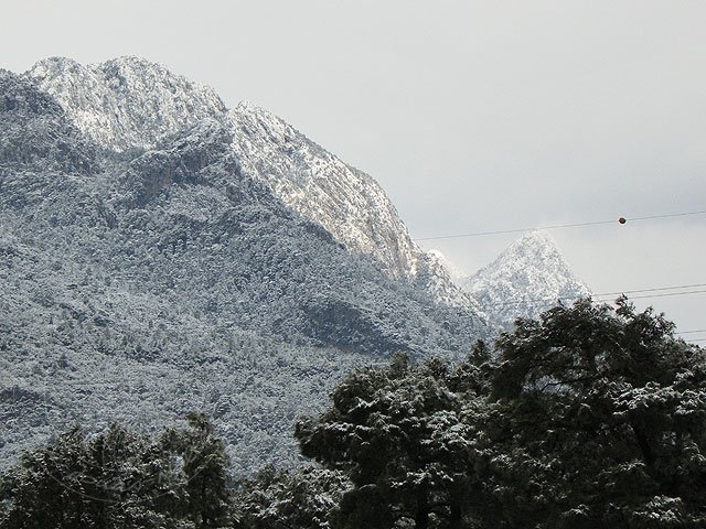 12-02-29-S-Kemer-08-s.jpg - Die Berge in Richtung Meer und die Kiefern - alles weiß!