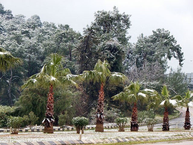 12-02-29-S-Kemer-21-s.jpg - und  an der D-400