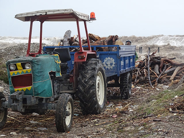 15-01-13-Agva-Kiris-48-s.jpg - Treibholzsammler bei Kiriş am 13. Jan. 2015