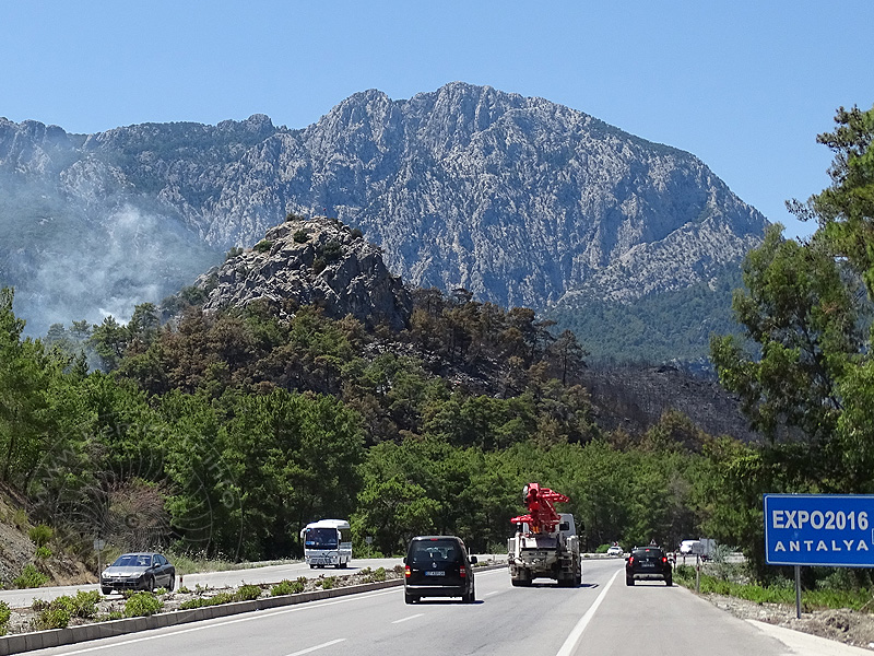 16-06-18-Waldbrand-Goeynuek.jpg