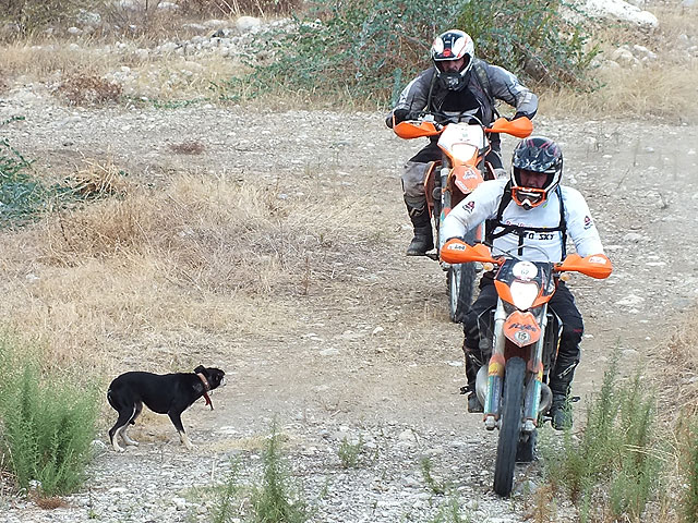 11-10-08-2-Enduro-15-s.jpg - Ein Dorfköter wollte auch mitspielen