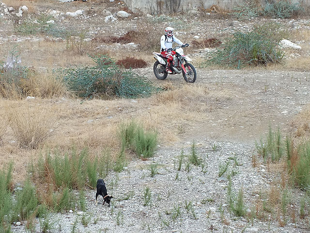 11-10-08-2-Enduro-21s.jpg - Dieser Fahrer ließ sich allerdings ablenken