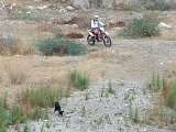 11-10-08-2-Enduro-21s