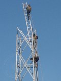 12-03-04-Calistepe-F-052-s