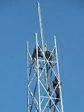12-03-04-Calistepe-S-127-s