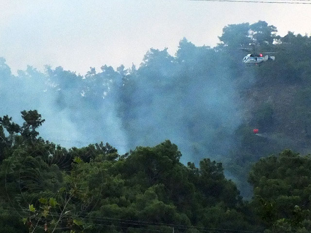 12-07-12-Waldbrand-01-s.jpg