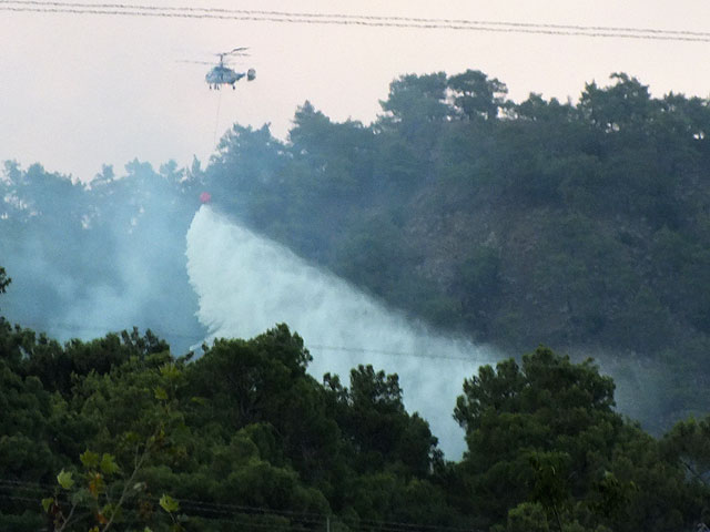 12-07-12-Waldbrand-15-s.jpg