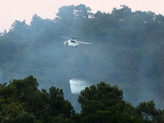 12-07-12-Waldbrand-18-s.jpg