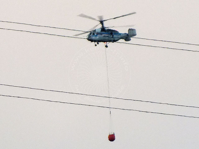 12-07-12-Waldbrand-19-s.jpg