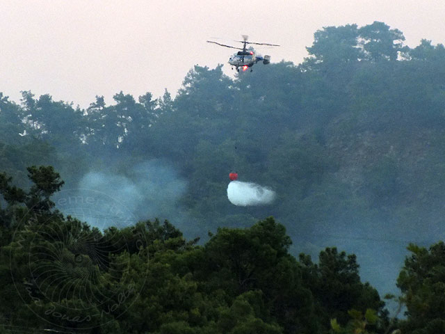 12-07-12-Waldbrand-20-s.jpg