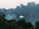 12-07-12-Waldbrand-20-s