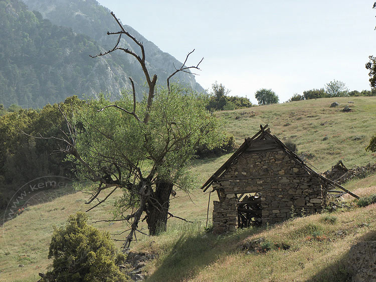 10-05-16-2-Altinyaka-40-s.JPG - Ruine auf der Alm