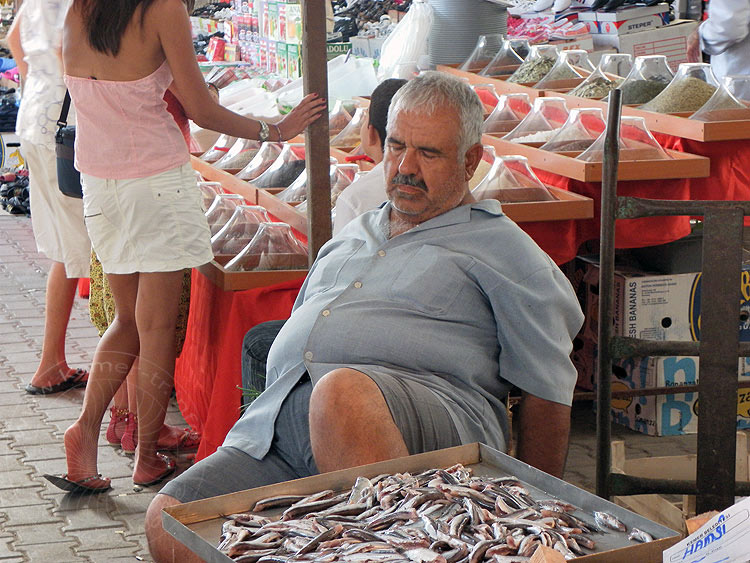 10-09-06-Markt-28-s.JPG - Müder Fischverkäufer