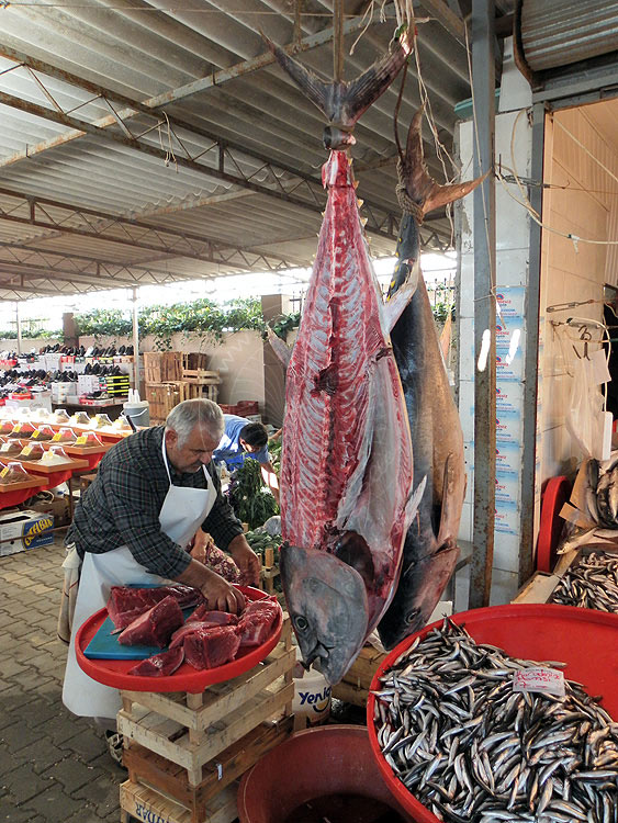 10-10-25-Kemer-Markt-01-s.JPG - Fischverkäufer in Kemer