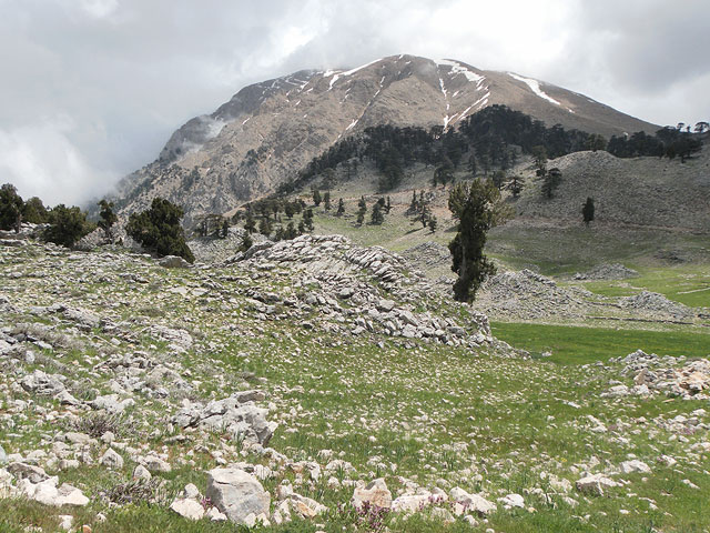 11-04-30-Cukuryayla-058-s.jpg - Nach zwei Stunden Fahrzeit hatten wir die Cukuryayla erreicht, der Ausläufer des Tahtali schaute noch aus den Wolken