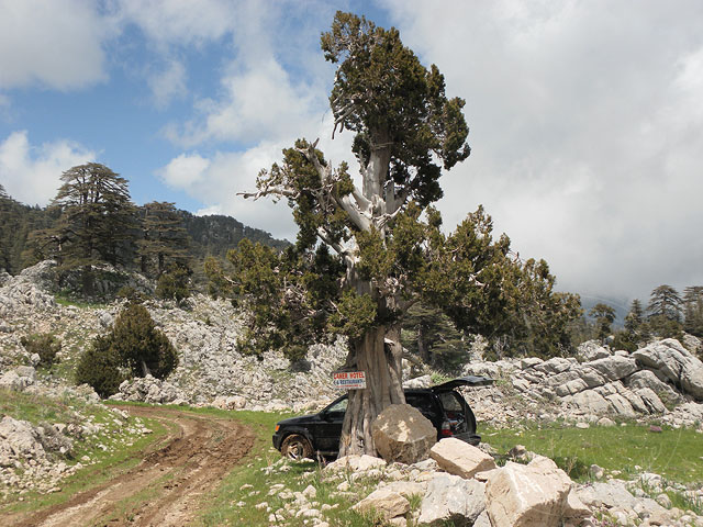 11-04-30-Cukuryayla-070-s.jpg - Wir wählten einen Park- und Picknickplatz etwas oberhalb der Almwiesen, um nicht wieder im Schlamm stecken zu bleiben