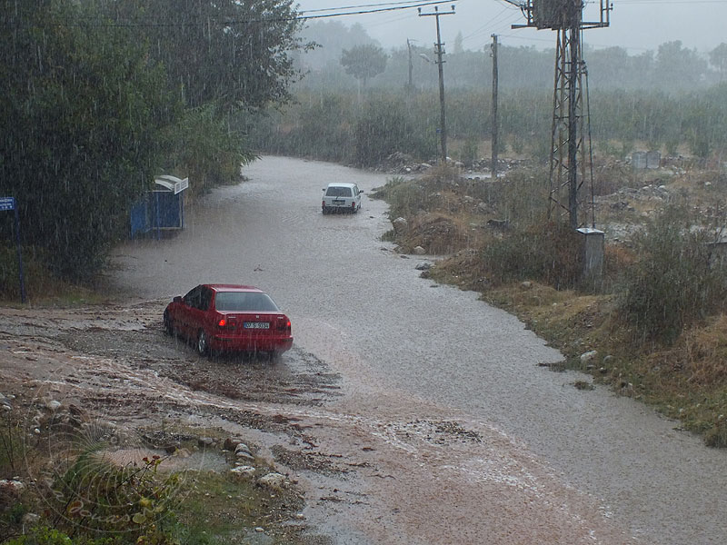 13-10-17-Regen-49-s.jpg