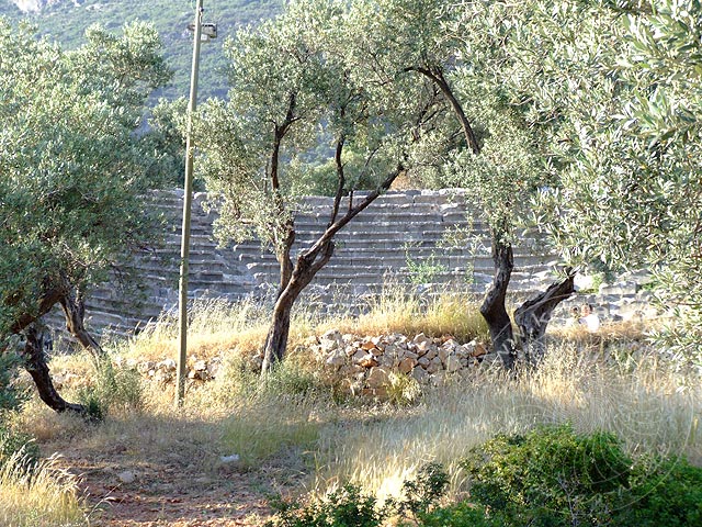 9-05-27-Kas-090-s.jpg - Zwischen alten Olivenbäumen das antike Theater von Kaş