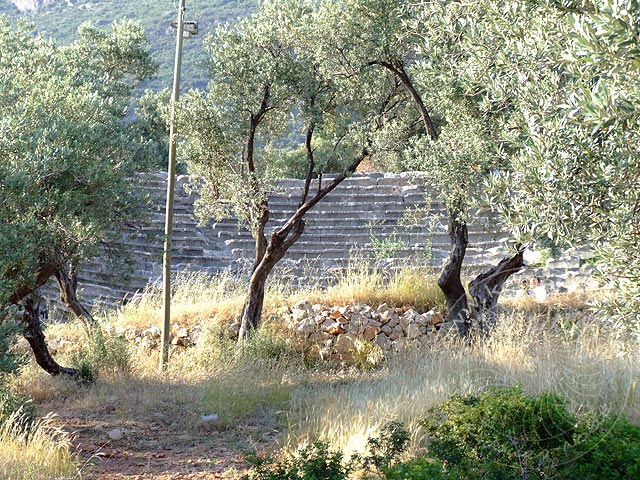 9-05-27-Kas-090-s.jpg - Zwischen alten Olivenbäumen das antike Theater von Kaş