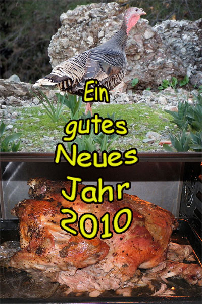 Neujahr2010.jpg - Mit einem Blick auf unseren Silvesterbraten wünschen wir Ihnen allen ein gutes Neues Jahr 2010 - Ina und Joe