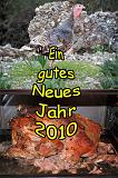 Neujahr2010