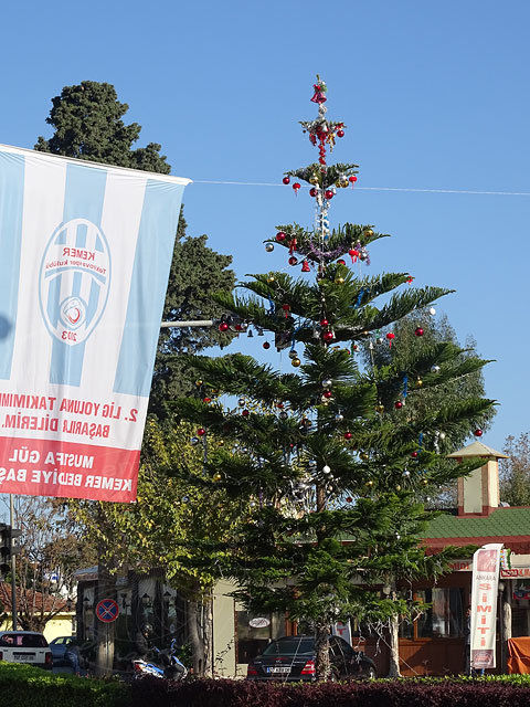 14-12-25-Kemer-02-s.jpg - die etwas überrascht auf den geschmückten Baum -