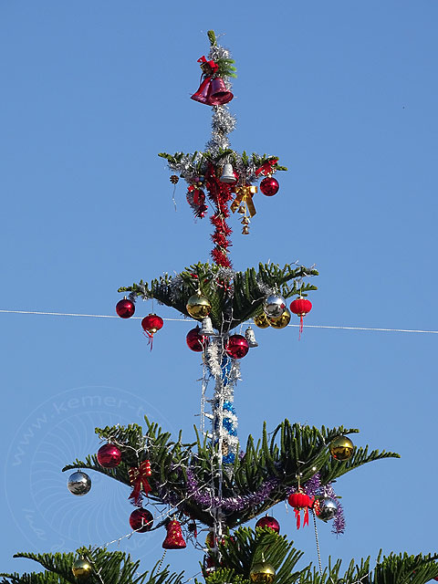 14-12-25-Kemer-03-s.jpg - auf dem Mittelstreifen der Straße zu schauen scheinen