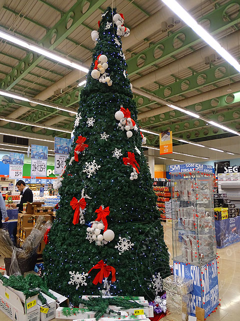 14-12-30-Antalya-14-s.jpg - Bei Migros ein großer grüner Baum