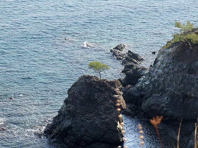 8-11-14-Phaselis-Bucht-073-s.jpg - Von der Klippenkante geht es zig Etagen senkrecht runter ins Meer