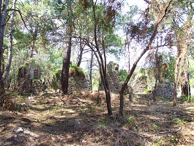 9-04-17-Phaselis-71-s.jpg - oder doch die Reste einer ehemals ansehnlichen Basilika ?