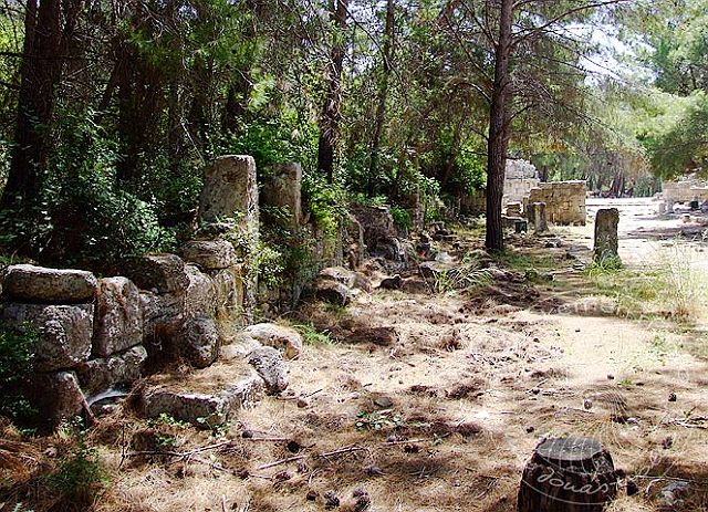 9-05-19-2-Phaselis-20-s.jpg - Auf der linken Straßenseite wurde bisher nur wenig ausgegraben