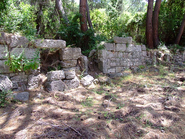 9-05-19-2-Phaselis-22-s.jpg - Direkt hinter den alten Hauseingängen beginnt der Urwald