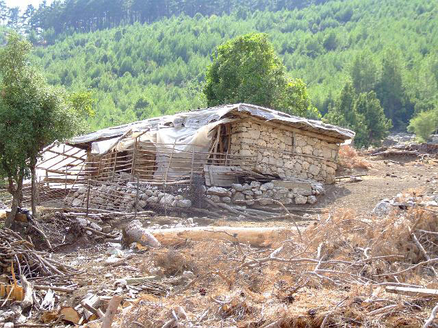 9-08-01-Bergtour-Kuzca-218.jpg - Ein kleiner Weiler wo gerade Holzaktion war