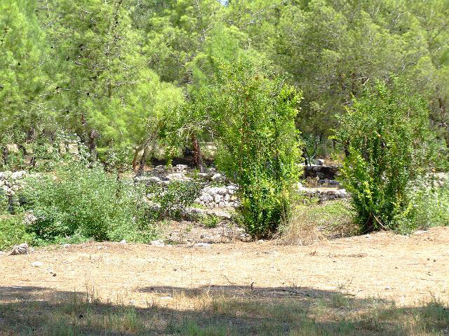 9-08-16-1-Kemer-11.jpg - Blick auf die Ruinen von Idyros