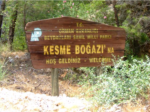 9-07-05-1-Kuzdere-Disko-24-s.jpg - Unweit unseres Hauses in Kuzdere beginnt der Nationalpark "Herrenberge-Küste" mit der "Kesme Boğazı" Schlucht