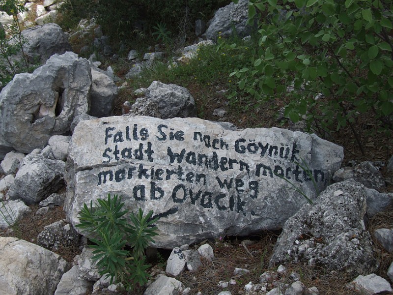 8-05-11-2-Kitanaura-004.jpg - Hier ist man trotz steinerner Inschrift auf dem Holzweg!