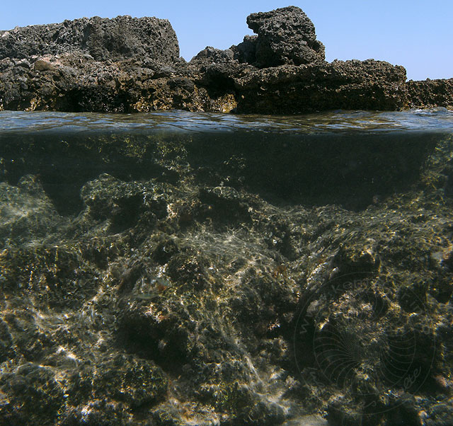 09-08-30-2-Th-Phaselis-11-12-s.jpg