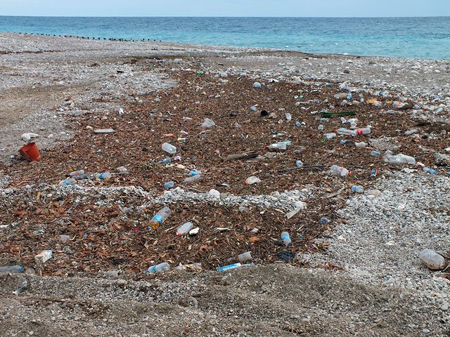 12-10-24-Tekirova-Strand-33-s.jpg - ans Meer gespült worden