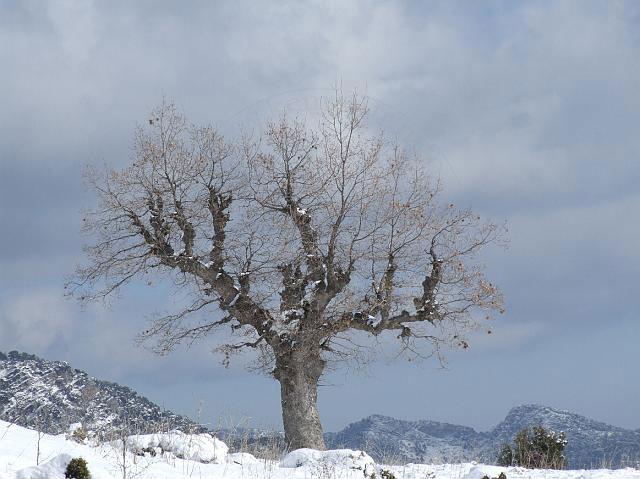 7-02-04-Kemer-Berg-250.JPG