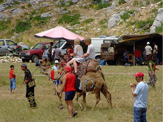 9-07-12-Almfest-067-s.jpg - Die Kamele sind mehr an Touristen gewöhnt