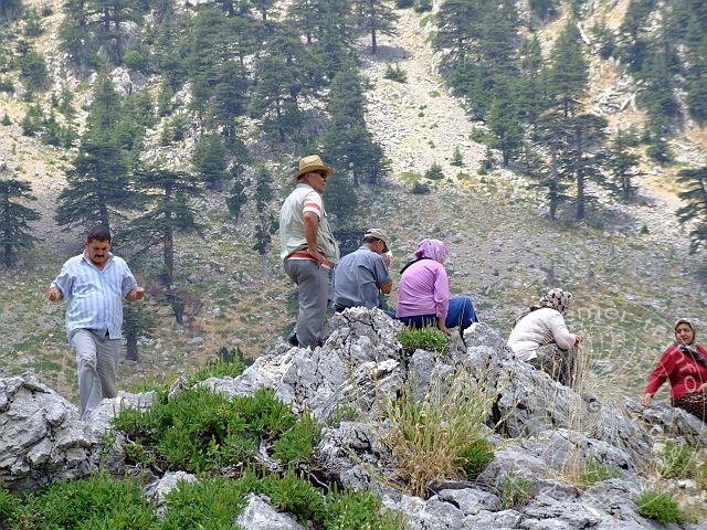 9-07-12-Almfest-114-s.jpg - Andere Familien erklimmen lieber die Hügel, der besseren Sicht wegen