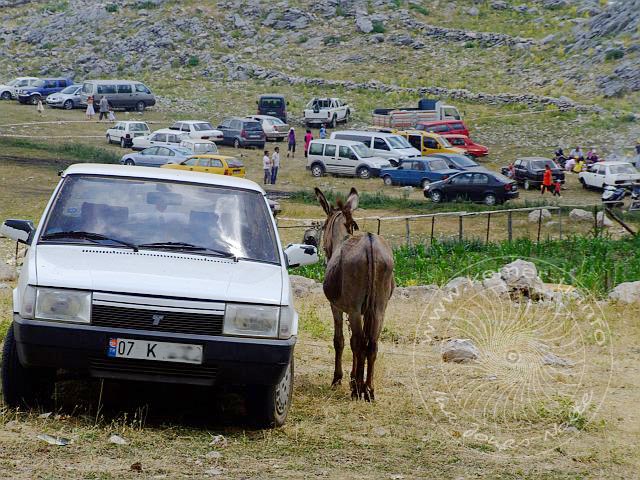 9-07-12-Almfest-126-s.jpg - Der Esel wird neben dem Auto geparkt
