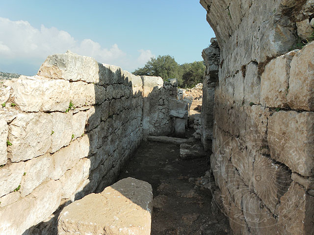 10-11-18-Andriake-S-088-s.jpg
