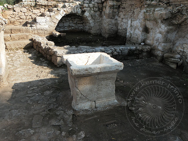 10-11-18-Andriake-S-091-s.jpg