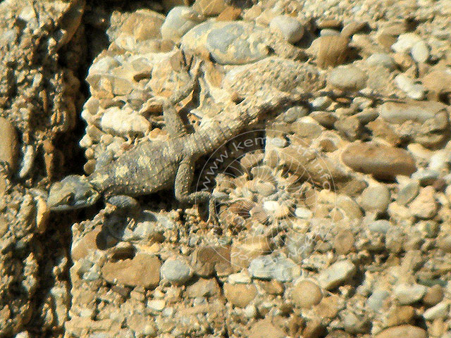 9-11-15-1-Aspendos-080-s.jpg