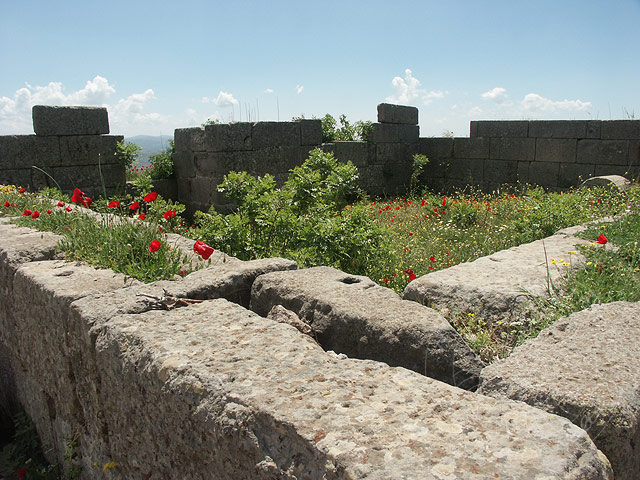 4-05-11-Bergama-116-s.jpg