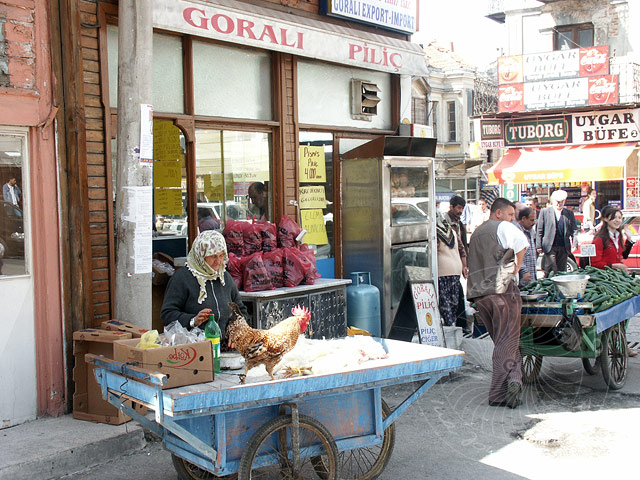 4-05-10-Edirne-068-s.jpg