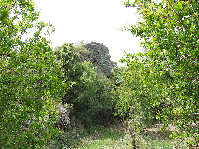 8-04-12-Gagai-085-s.jpg - Zwischen den Ruinen eine neu angelegte Granatapfelplantage